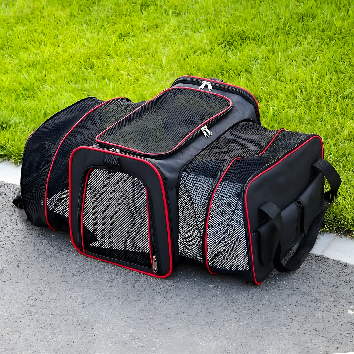 Expandable Mesh Pet Travel Carrier for Cats and Small Dogs