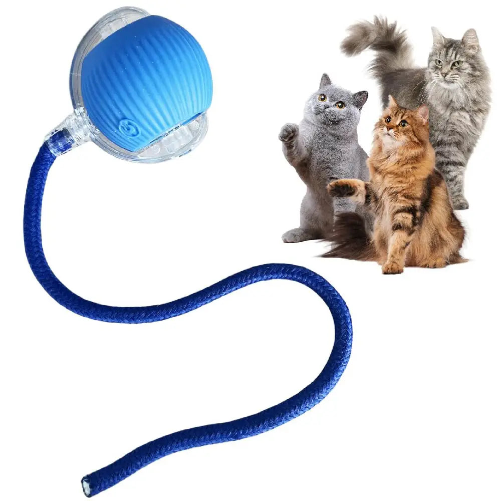 Automatic Interactive Smart Ball Cat Toy (Instinct Stimulation & Hands-Free Fun) - TradixPro