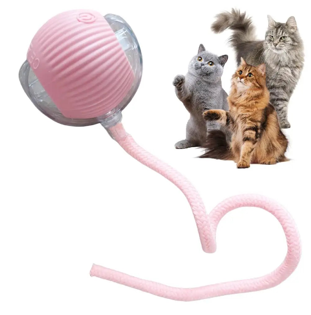 Automatic Interactive Smart Ball Cat Toy (Instinct Stimulation & Hands-Free Fun) - TradixPro