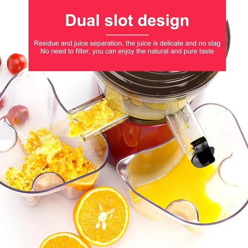 Cold Press Masticating Slow Juicer - High Nutrient Extraction - TradixPro