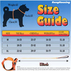 Dog Harness and Automatic Retractable Leash Kit - TradixPro