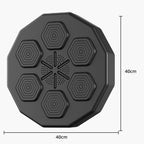 Music Boxing Training Machine - Wall Mounted Fitness Trainer - TradixPro