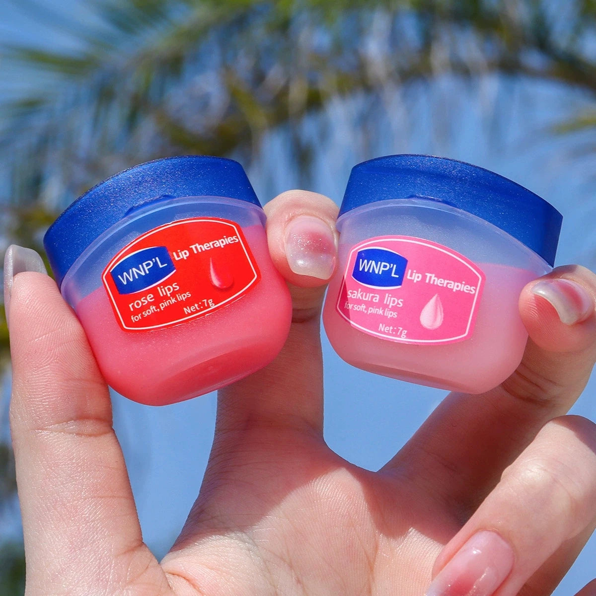 Nourishing & Deep Hydrating Lip Balm Gift Set (Natural Formula for Dry Lip Repair) - TradixPro